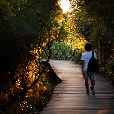 A Saboeira - Turismo Rural Belver  Εξωτερικό φωτογραφία