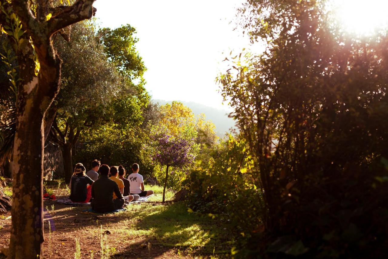 A Saboeira - Turismo Rural Belver  Εξωτερικό φωτογραφία