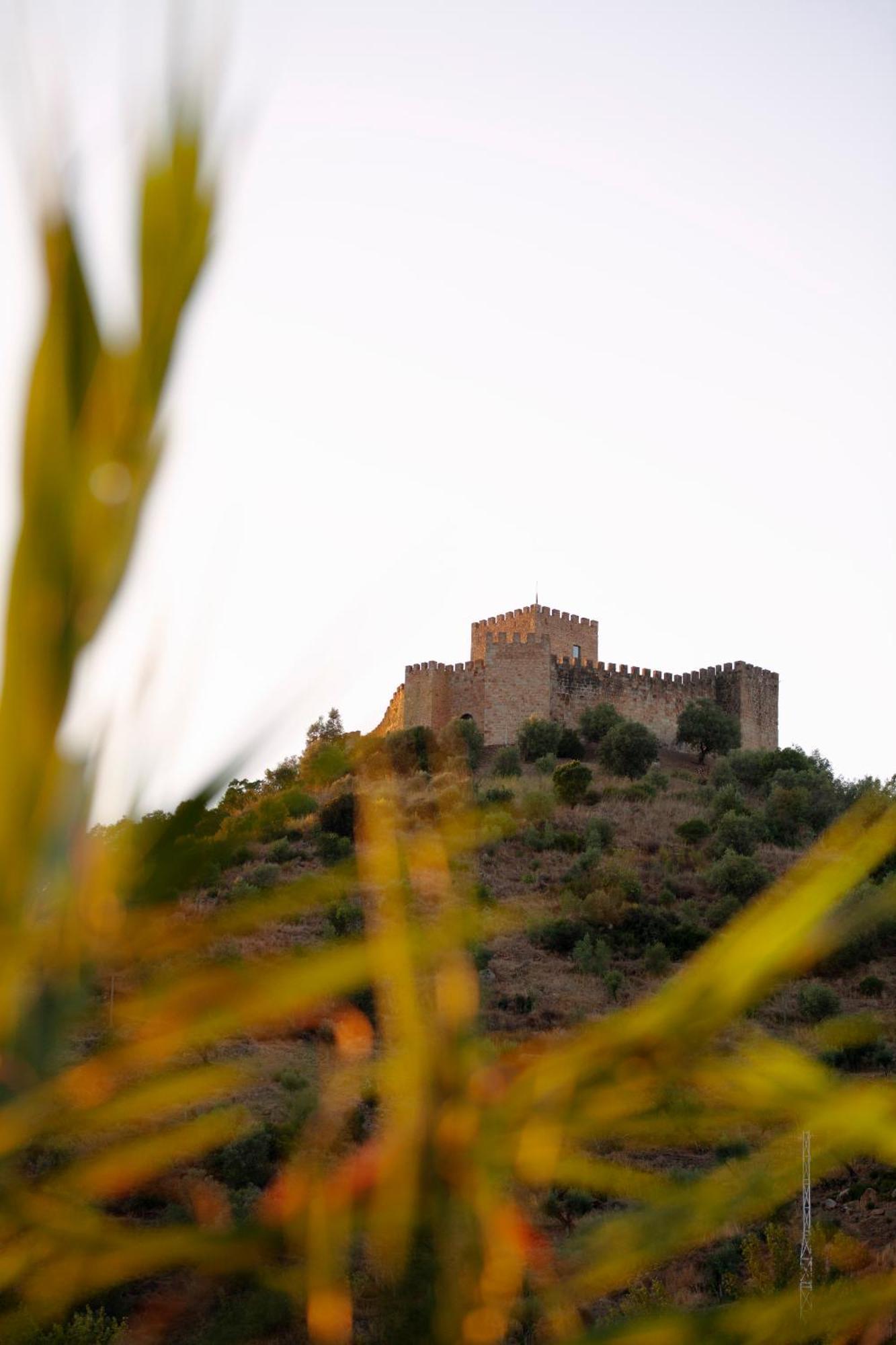A Saboeira - Turismo Rural Belver  Εξωτερικό φωτογραφία