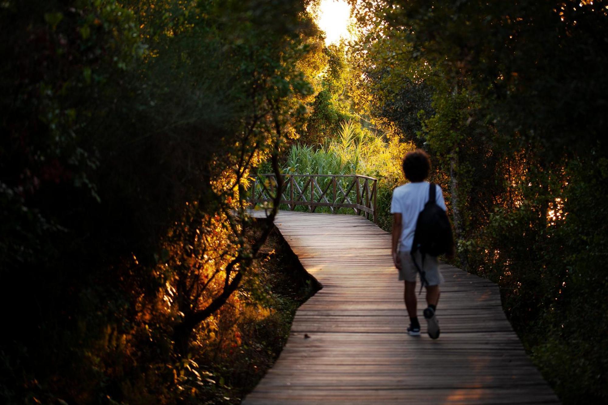 A Saboeira - Turismo Rural Belver  Εξωτερικό φωτογραφία